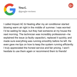 Review (21)