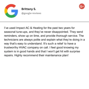 Review (30)